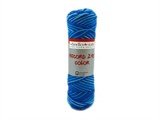  Record 210 Color 